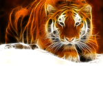 Epic_Tigersclub