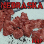 Nebraska 144P