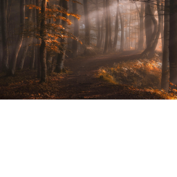 All