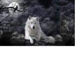 Queen of the Wolves