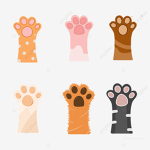 Cat Socks :)