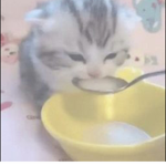 syvn