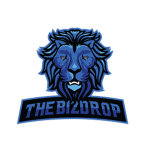 The Bizdrop Group