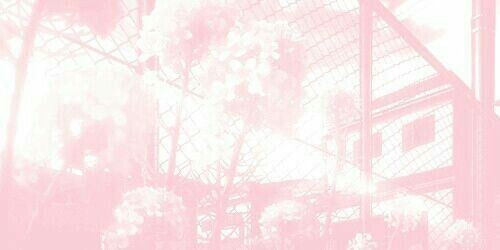 auria's homestore