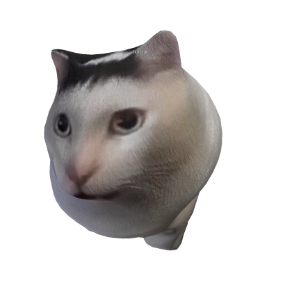 huh cat