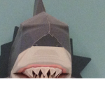 The shark bite Studios