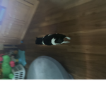 The robux group-