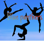 Blue panthers official gymnastics group