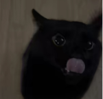 HowBizAR