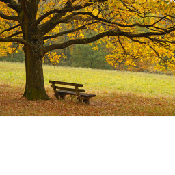 "New Life”