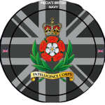 [-] Intelligence Service [-]
