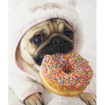 Donuts dogs