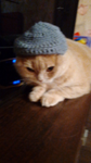 Simastan's company