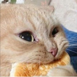 La la uWu