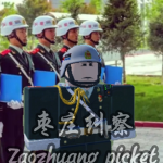 [ZZPF]枣庄警备纠察