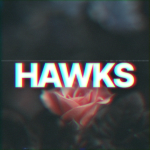 Hawks Studioss