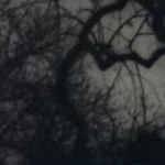 Thirteen,