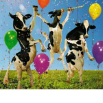 PARTY COW471122