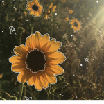 flower’s fantastic family
