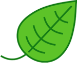 Unknown Leaf