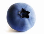 my blueberry buddies