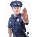 The Gamer Police
