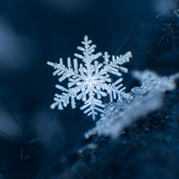 winter lol