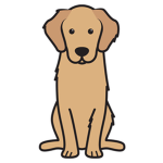 Golden Dog Development