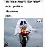 ghhdbrhrj
