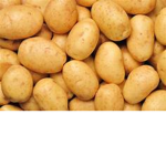 Roblox potato fan group