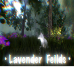 - Lavender Fields -