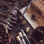 ~Harry Potter Aesthetics~