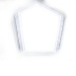 Meme DNA
