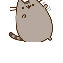 Unicorn Pusheen's Base
