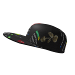 Limited Catalogue Series Flatbrim Cap