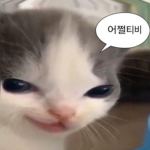 세바수찬의 조직