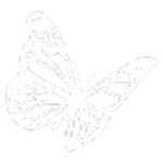Humanoid Productions