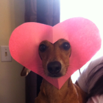 Belle's luvs.