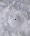 snowys snowflakes!