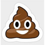 poop pee in tolit
