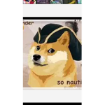 Doge savage and pirates