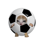 Kick About