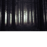 The Unknow Follwers