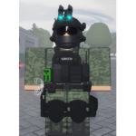 Ejército mexicano y guardia nacional de Mexico
