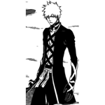 rysanimeshop