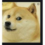 DOG GOD OP