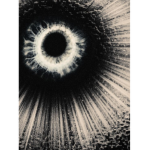 THE VOID MASSACRE