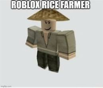 The Roblox Rice Farmers
