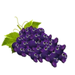 Alalal Grapes