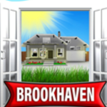 The brookhaven Story's